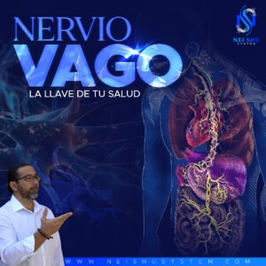NERVIO VAGO: La llave de tu salud