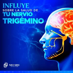 Influye sobre la salud de tu Nervio Trigémino