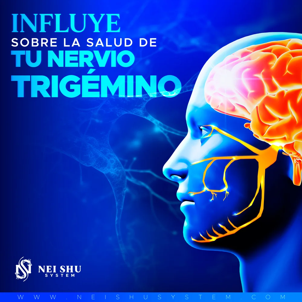 Influye sobre la salud de tu Nervio Trigémino